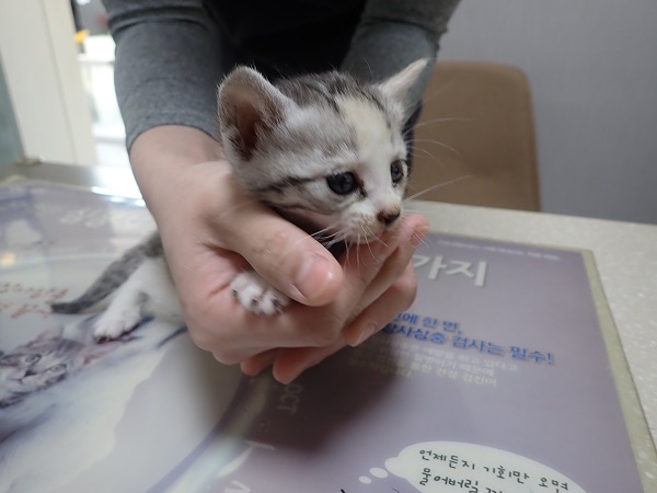종료(자연사) 한국…