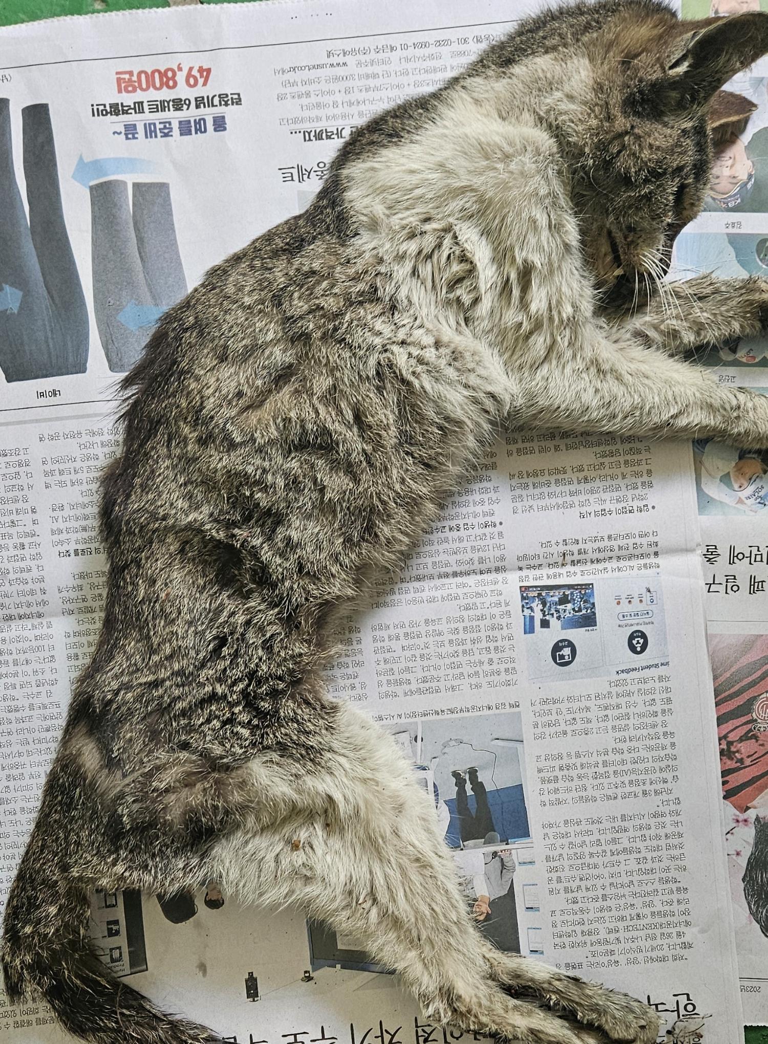 종료(자연사) 한국…