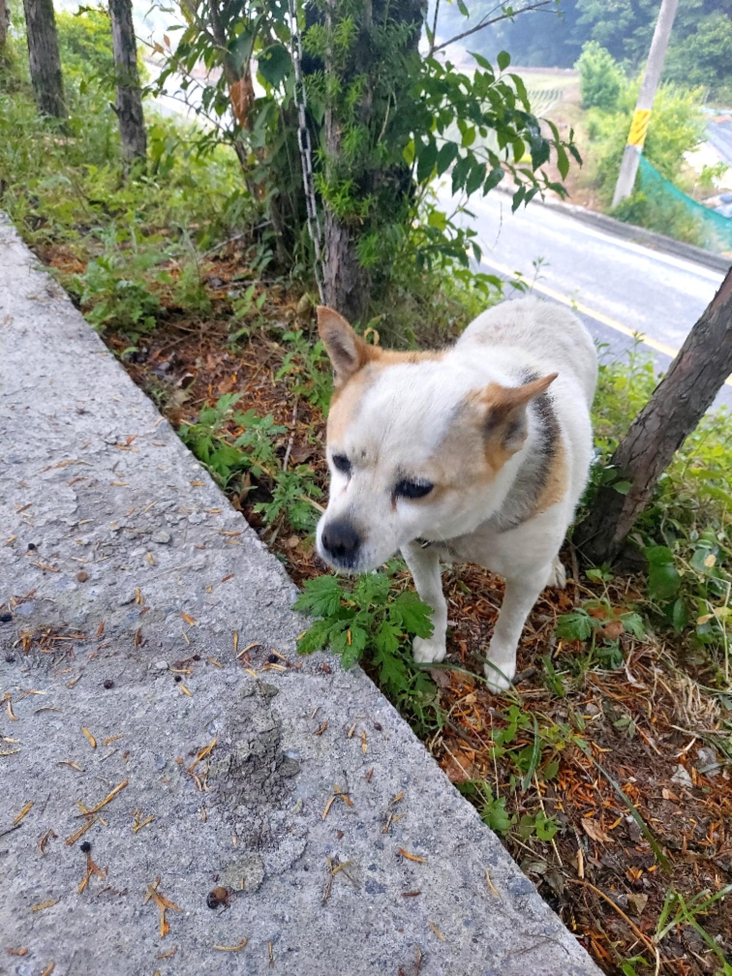 제일동물병원_444455202400360