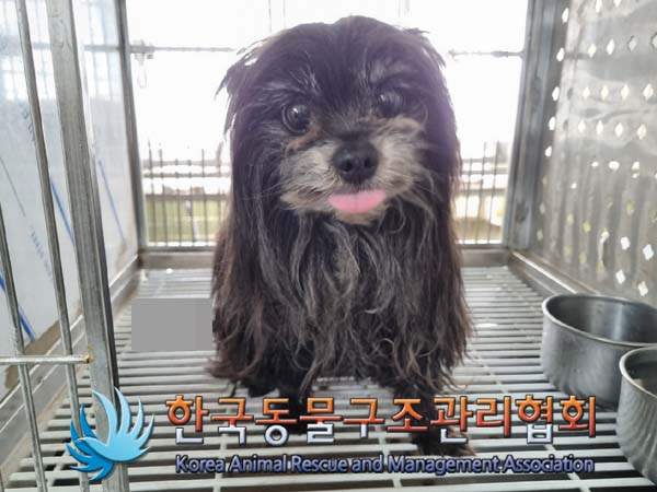 한국동물구조관리협회_441560202400632
