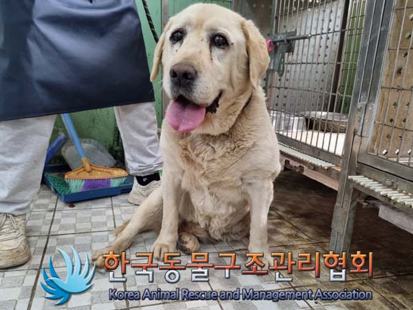종료(반환) 라브라…