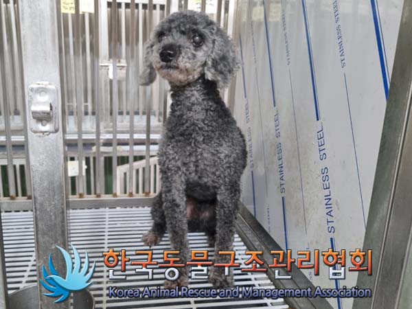 한국동물구조관리협회_411317202400180