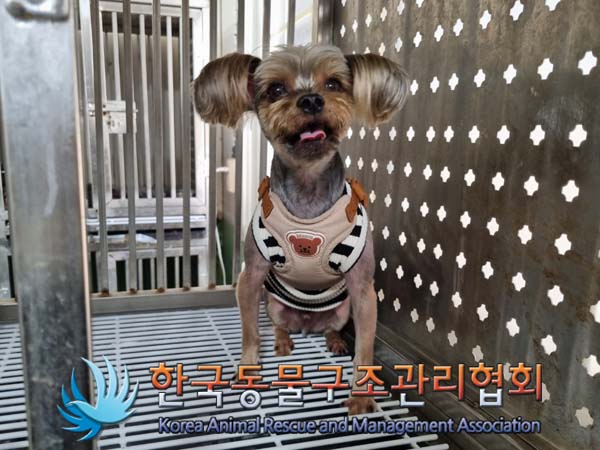 한국동물구조관리협회_411301202400224