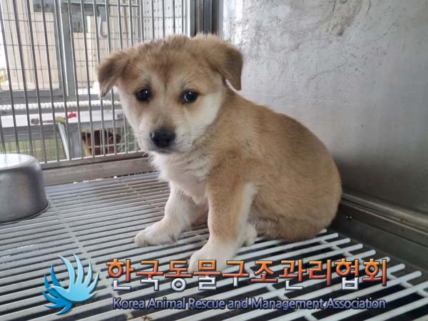 한국동물구조관리협회_441560202400640