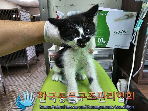 종료(자연사) 한국…