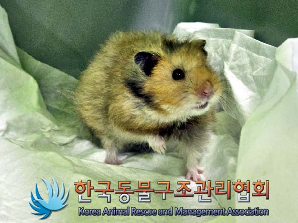 한국동물구조관리협회_411307202400307