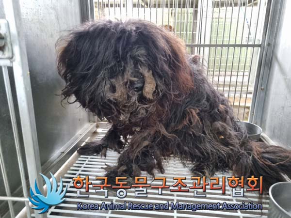 한국동물구조관리협회_441560202400636