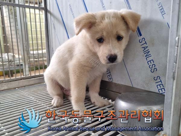 한국동물구조관리협회_441560202400638