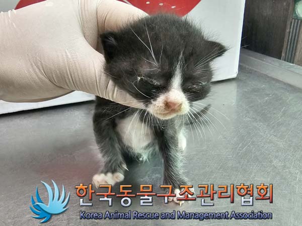종료(자연사) 한국…