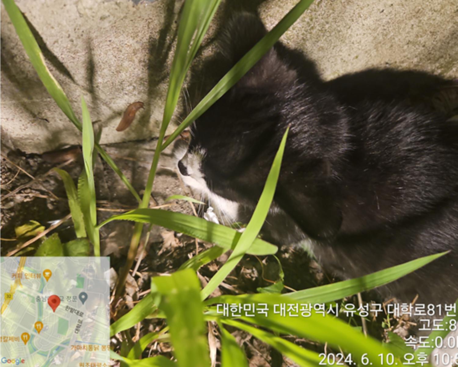 대전동물보호센터_430367202400422