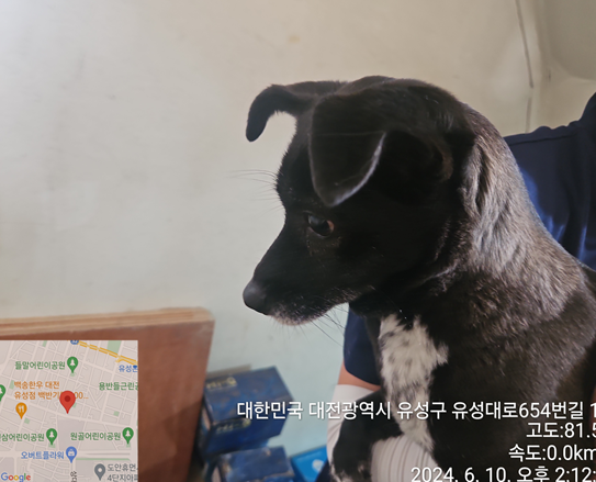 대전동물보호센터_430367202400421