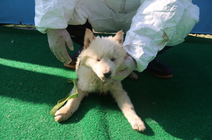 제주 동물보호센터_450650202401776