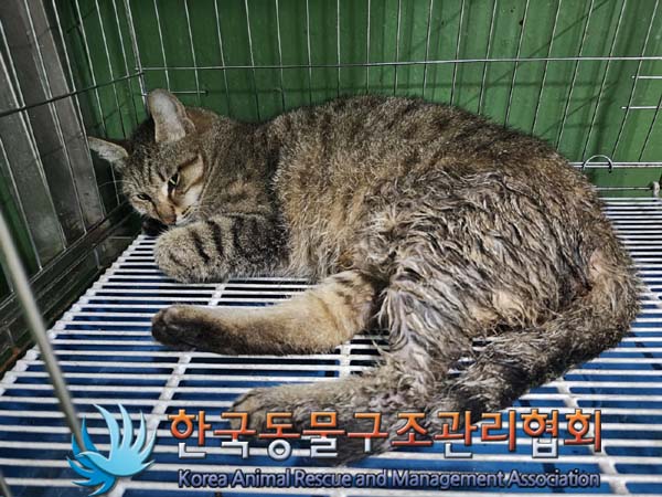 종료(자연사) 한국…