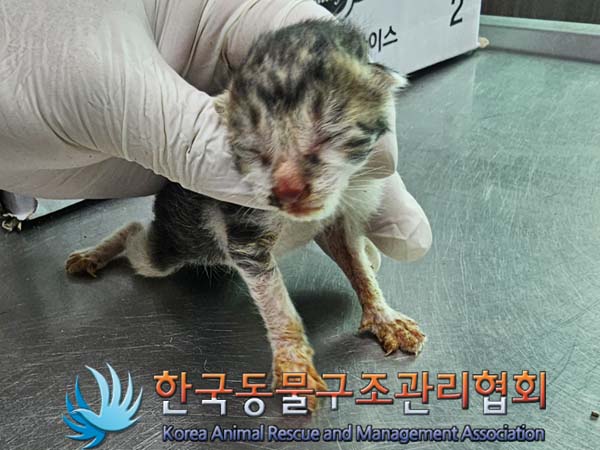 종료(자연사) 한국…