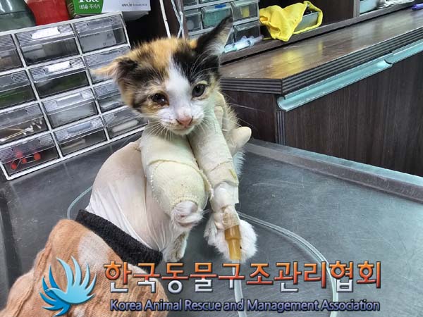 한국동물구조관리협회_441414202400379