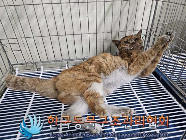 종료(자연사) 한국…