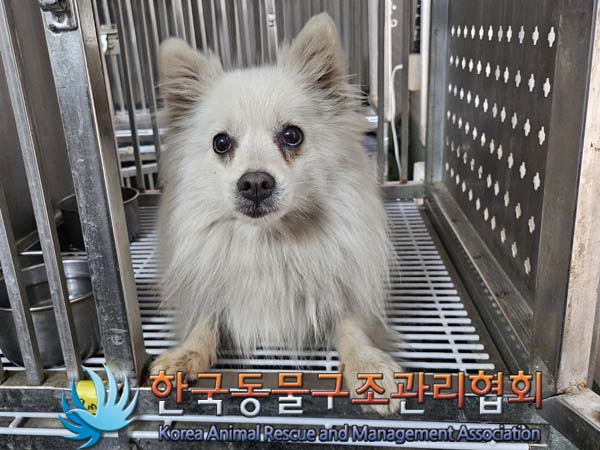 한국동물구조관리협회_441414202400380