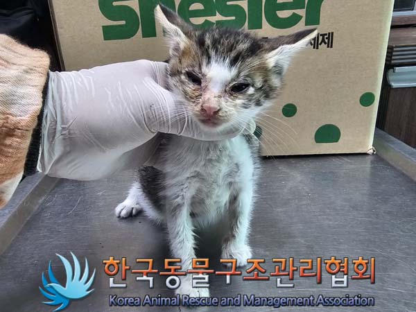 종료(자연사) 한국…