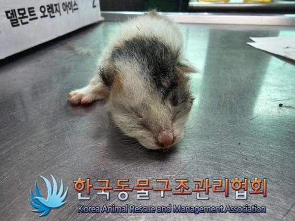 종료(자연사) 한국…