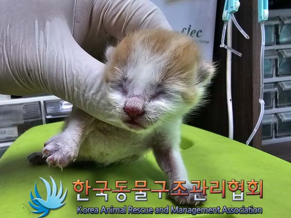 종료(자연사) 한국…