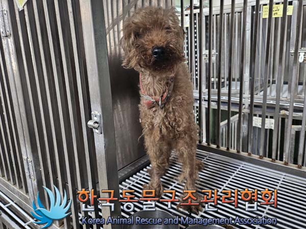 한국동물구조관리협회_411315202400312