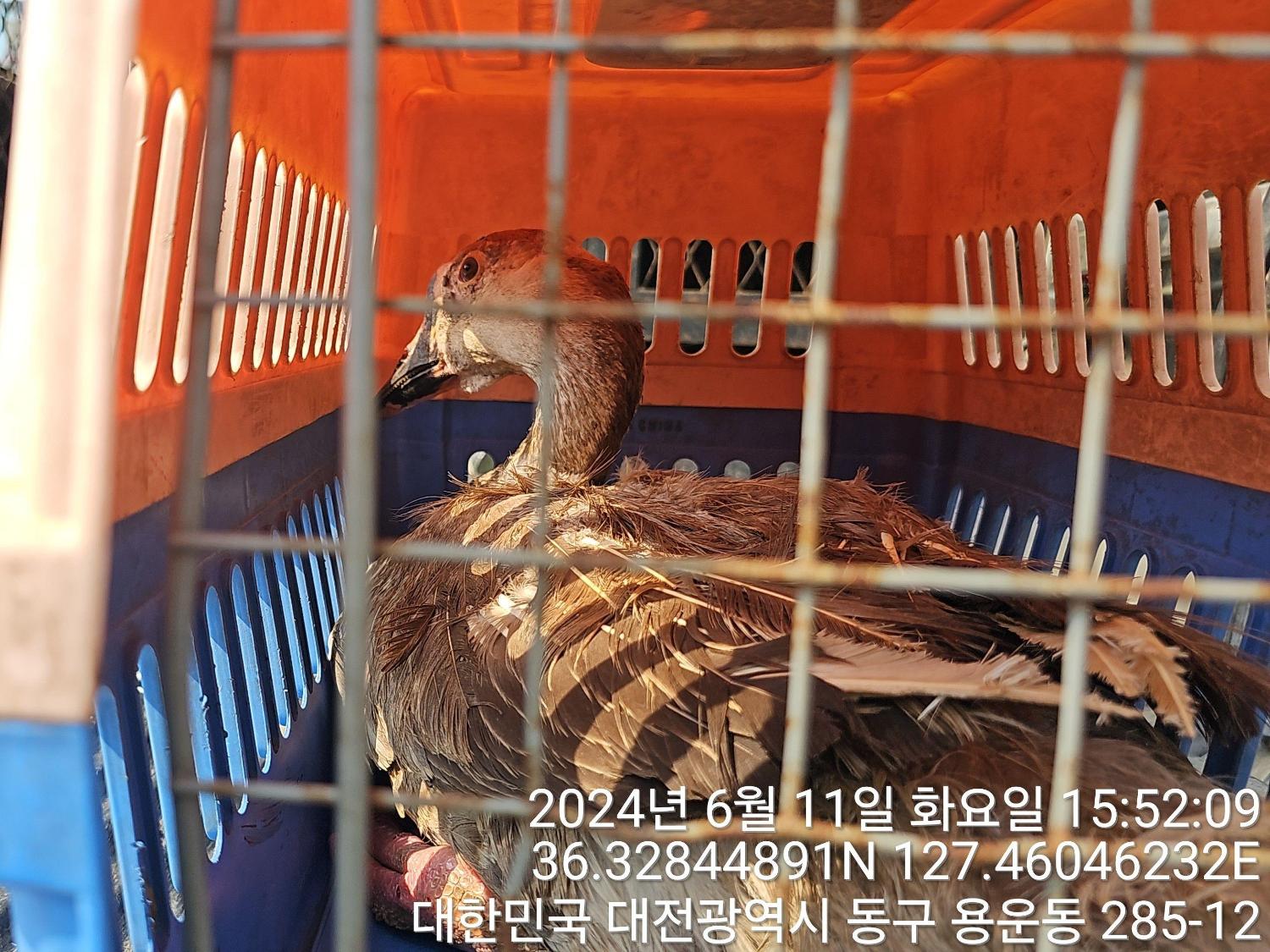 종료(반환) 중국 …