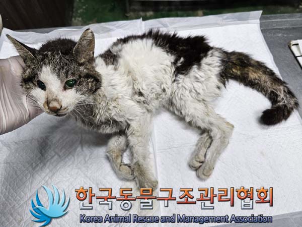 종료(자연사) 한국…