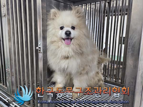 한국동물구조관리협회_441406202401051