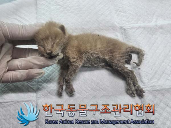 종료(자연사) 한국…