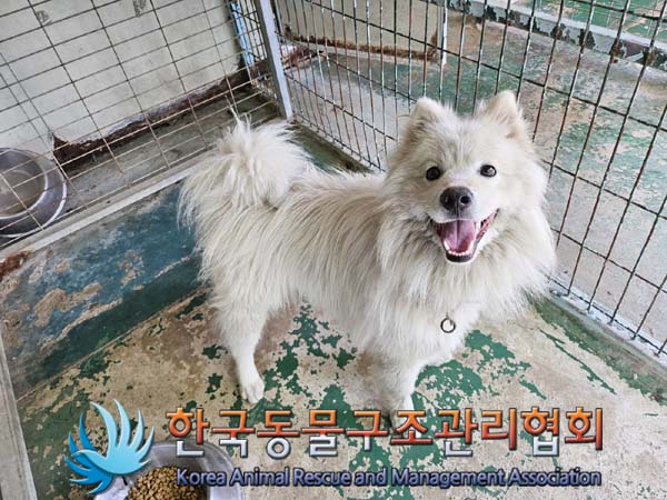 종료(반환) 사모예…