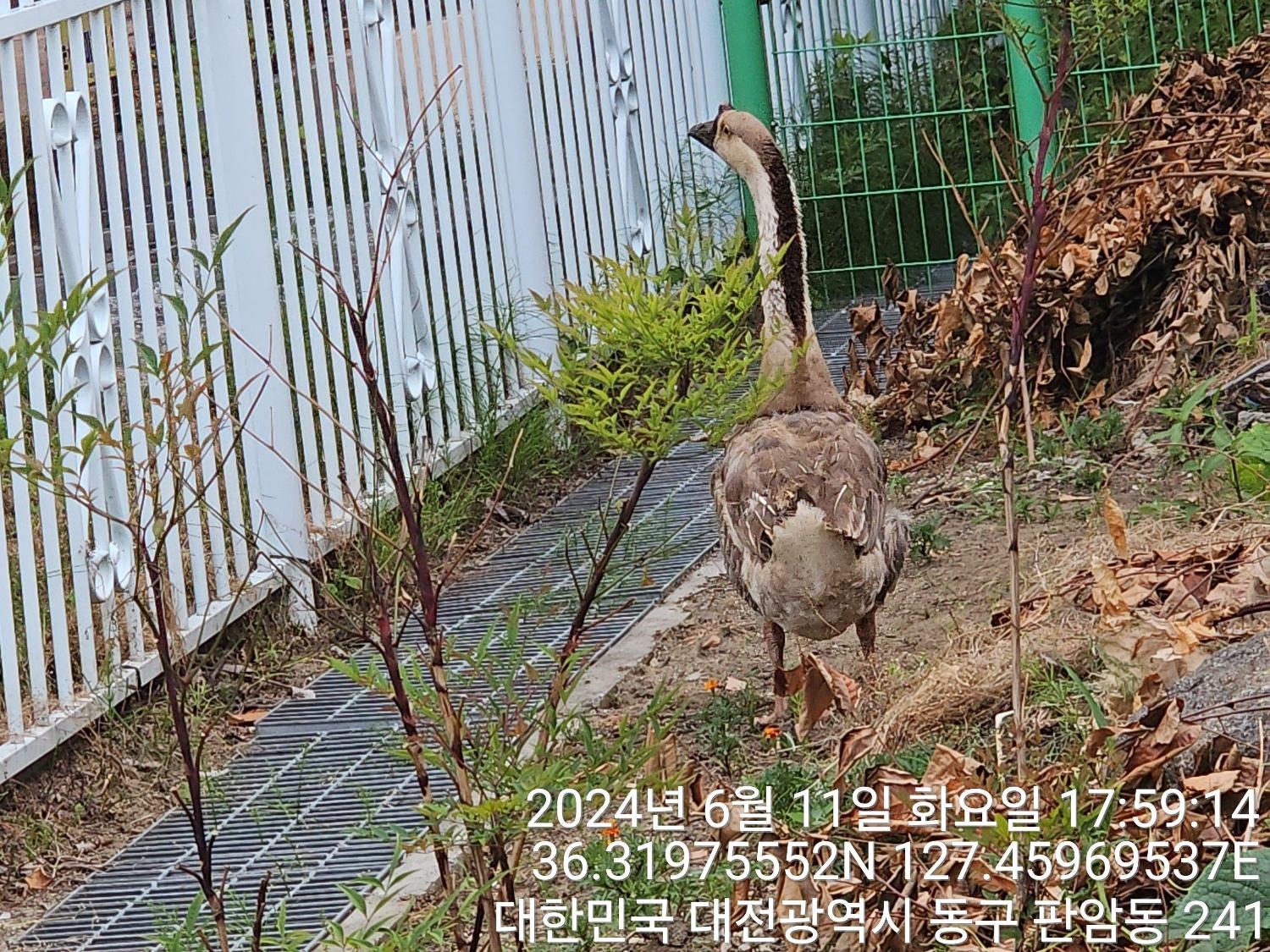 종료(반환) 중국 …