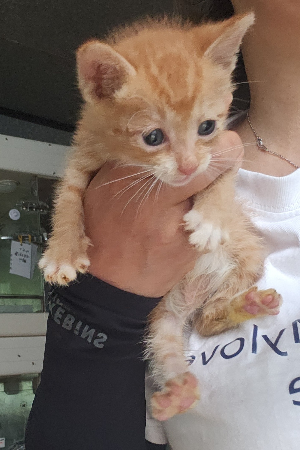 울산유기동물보호센터_431369202400327