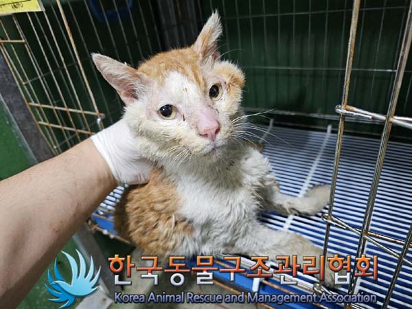 한국동물구조관리협회_411318202400240
