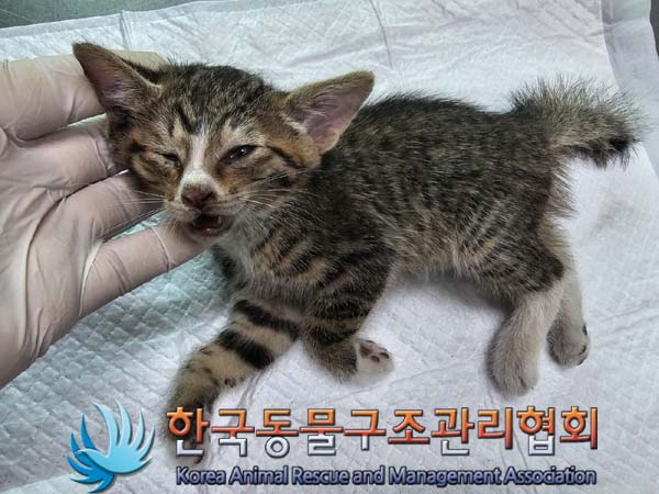종료(자연사) 한국…