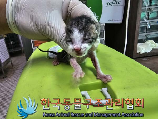 종료(자연사) 한국…