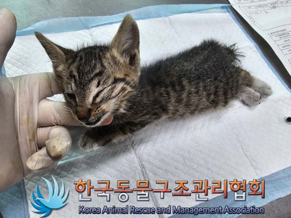종료(자연사) 한국…