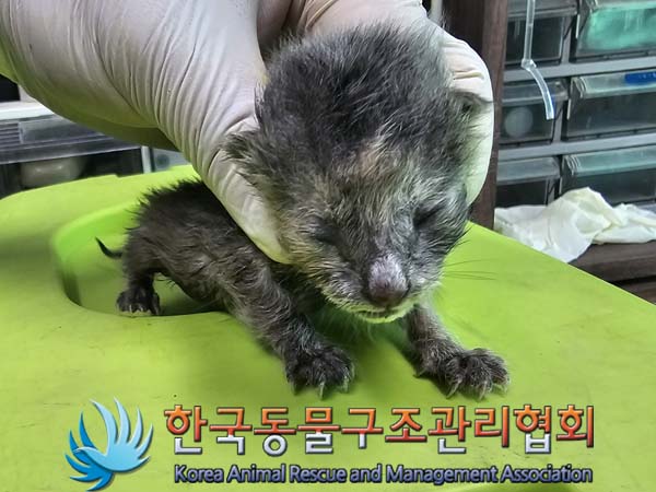 한국동물구조관리협회_441409202400874
