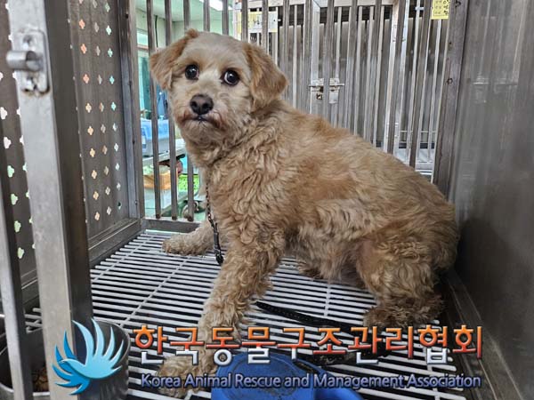 한국동물구조관리협회_411323202400664