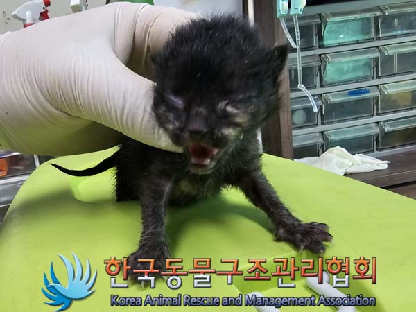 종료(자연사) 한국…