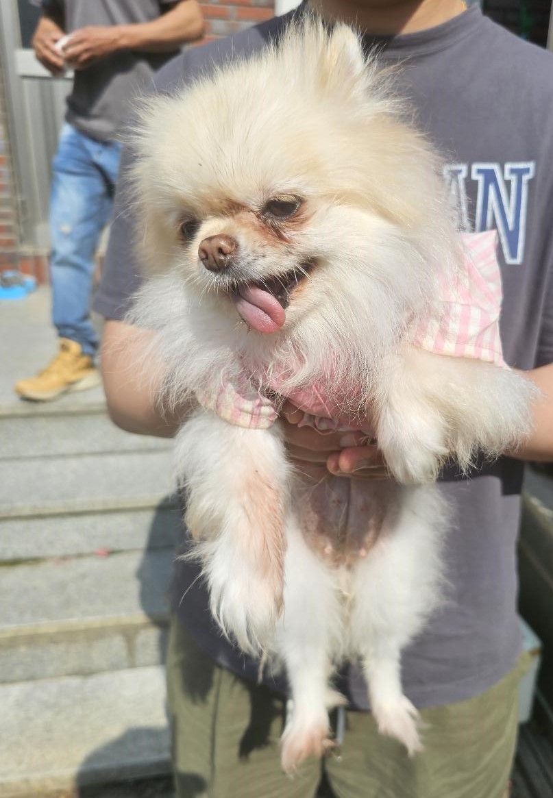 창녕 유기동물보호소_448541202401081