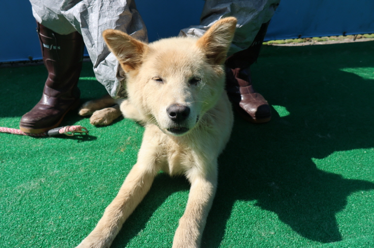 제주 동물보호센터_450650202401808