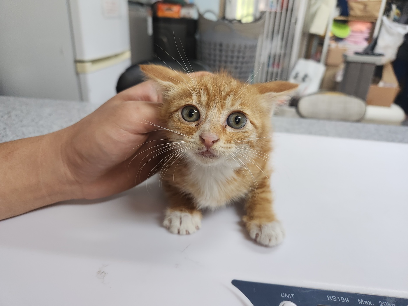 광주 동물보호소_429362202400570
