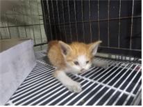 종료(자연사) 한국…