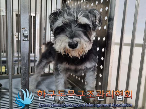 한국동물구조관리협회_411323202400673