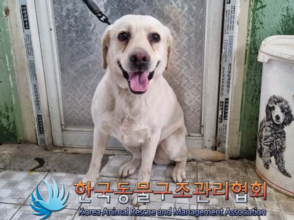 종료(반환) 라브라…