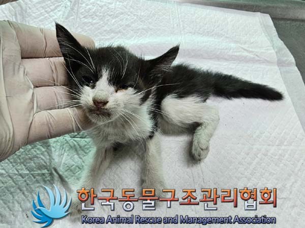 종료(자연사) 한국…