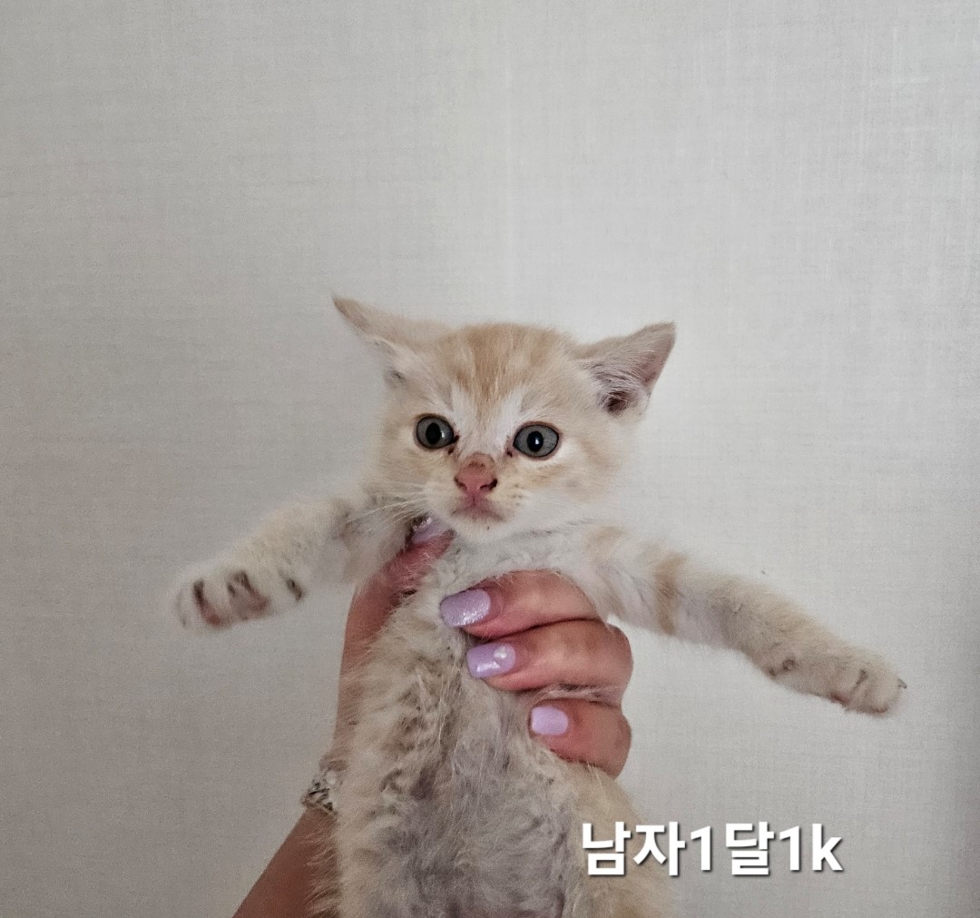 옥천동물병원_443443202400538