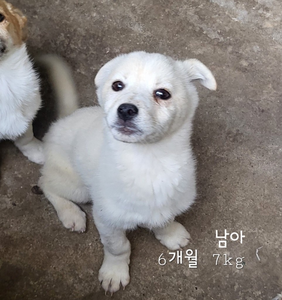 옥천동물병원_443443202400514