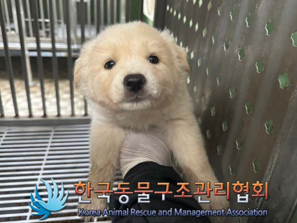 종료(자연사) 믹스…