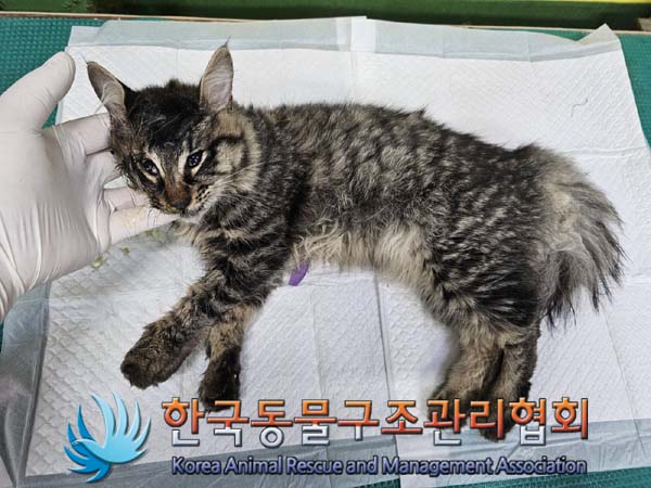 종료(자연사) 한국…